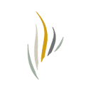 Efuneral logo
